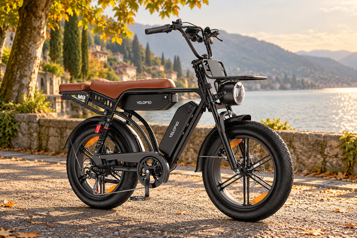Illustrative VELOPRO M9 scene on a lakeside path in autumn light