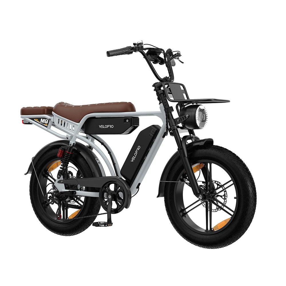 Velopro M9 Retro Dual-Battery Fat Tire E-Bike – 250W Motor, Up to 240km Range, 25km/h