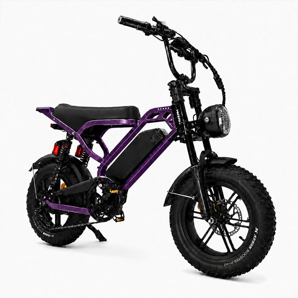 EChoice MINI 16″ vélo électrique compact à pneus larges – 250 W, 25 km/h, autonomie jusqu’à 80 km