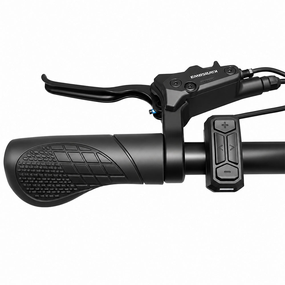 MINI hydraulic brake lever and controls