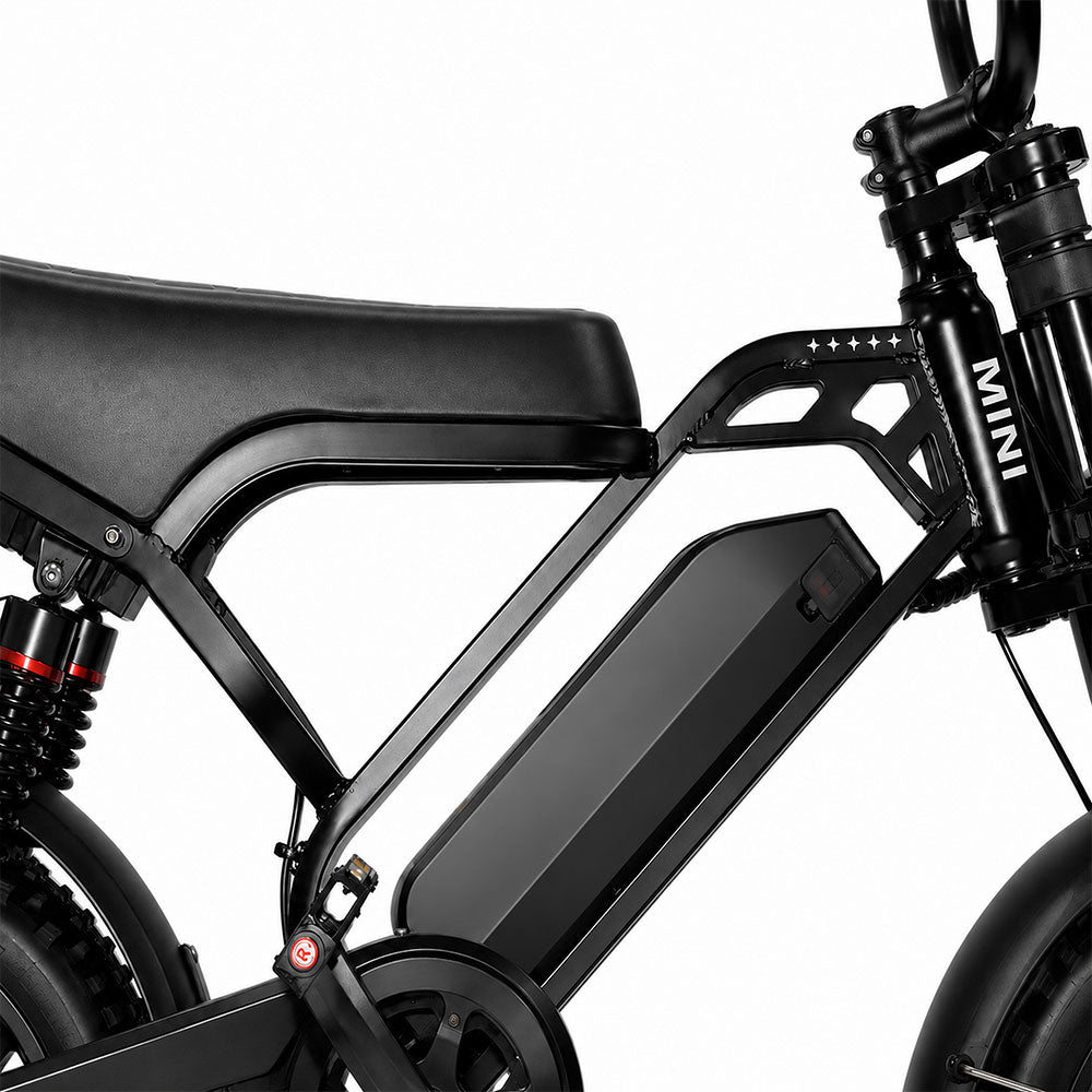 MINI frame and removable battery close-up