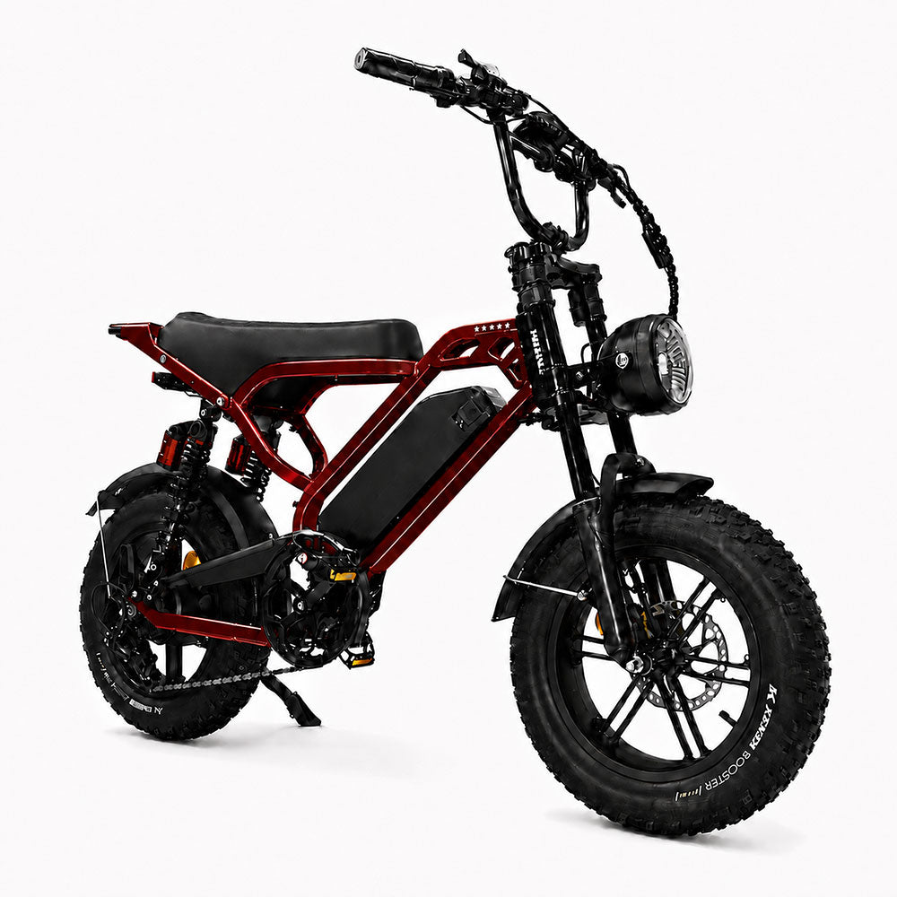 EChoice MINI 16″ vélo électrique compact à pneus larges – 250 W, 25 km/h, autonomie jusqu’à 80 km