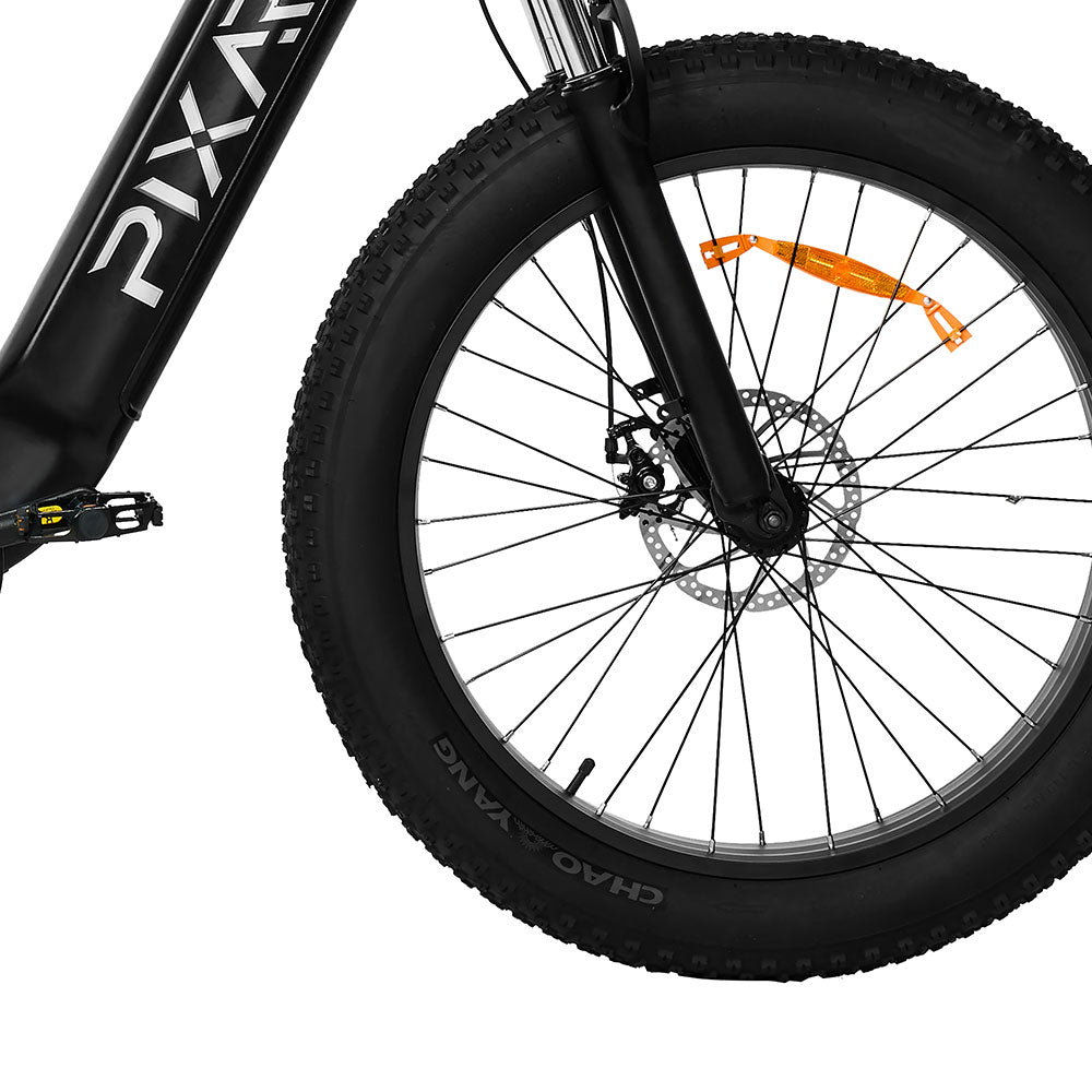 Fat tire and disc brake
